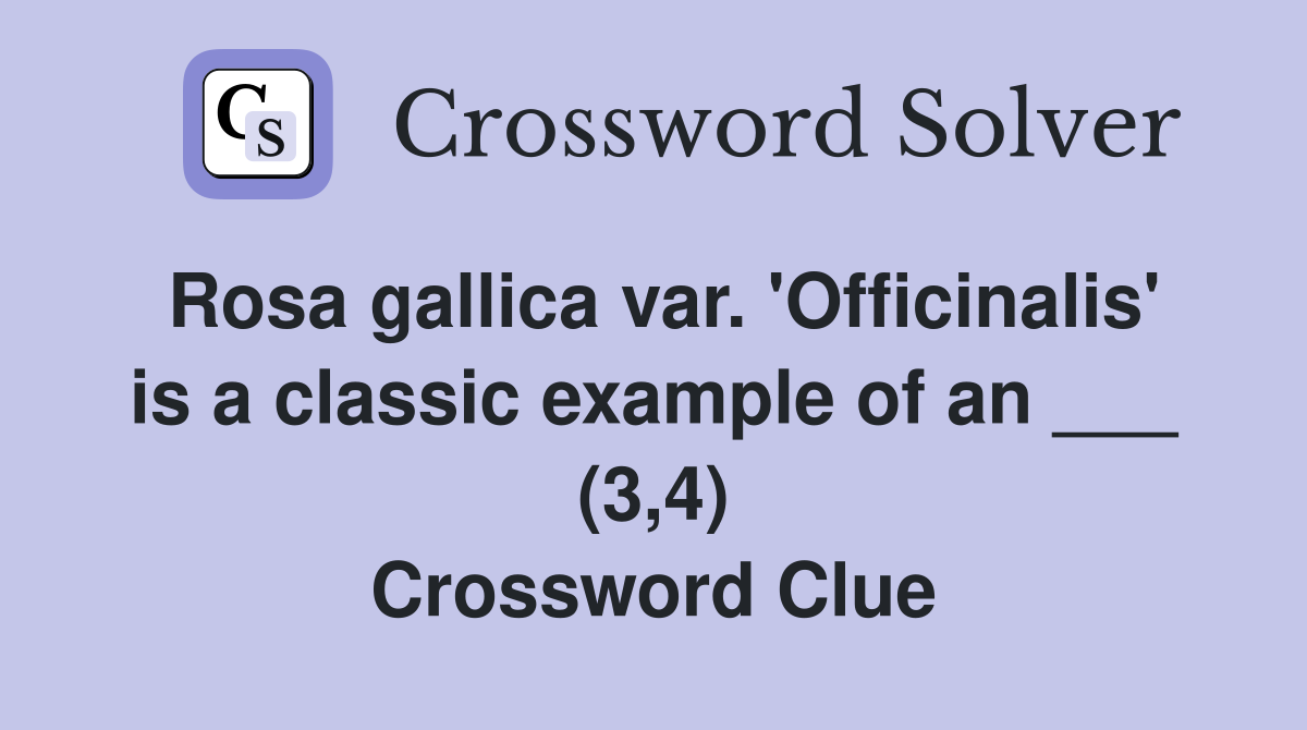 Rosa gallica var. 'Officinalis' is a classic example of an ___ (3,4) Crossword Clue