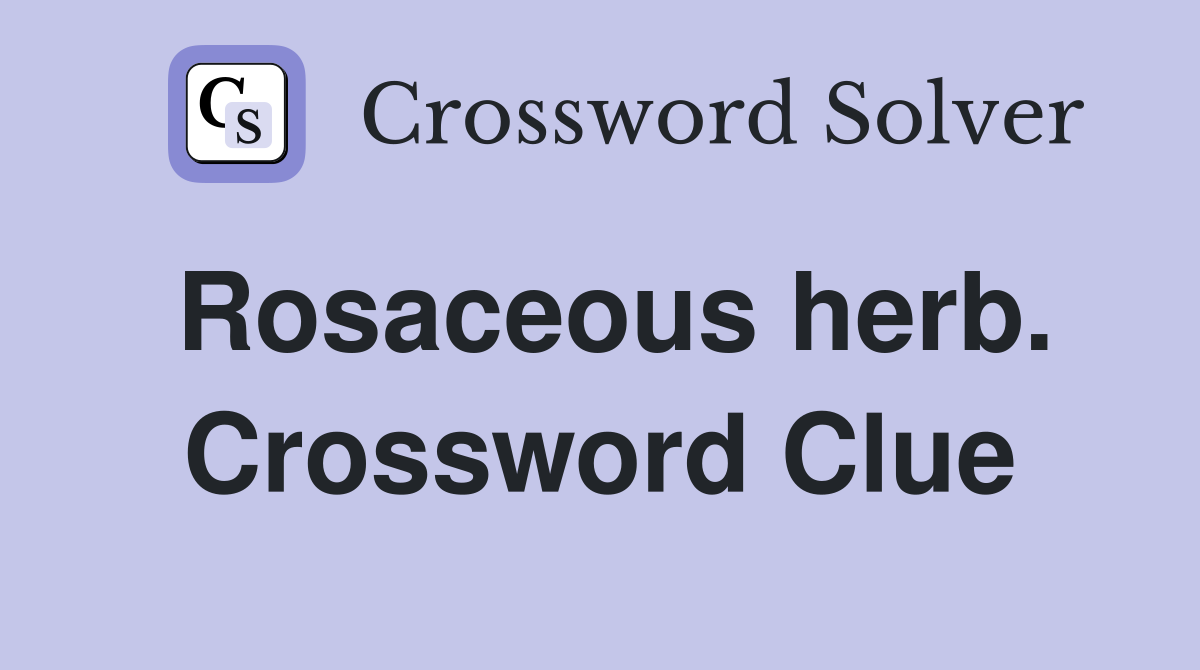 Rosaceous herb. Crossword Clue