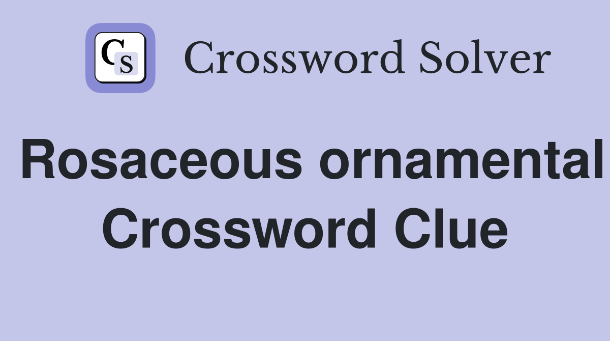 Rosaceous ornamental Crossword Clue