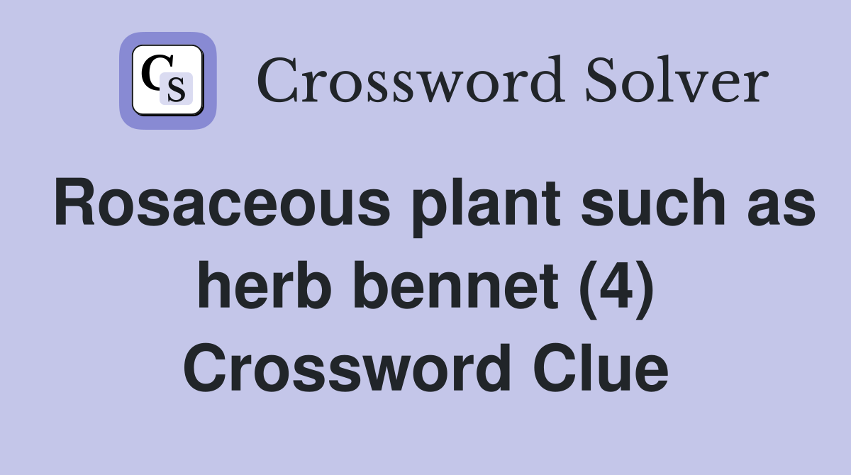 Rosaceous plant such as herb bennet (4) Crossword Clue
