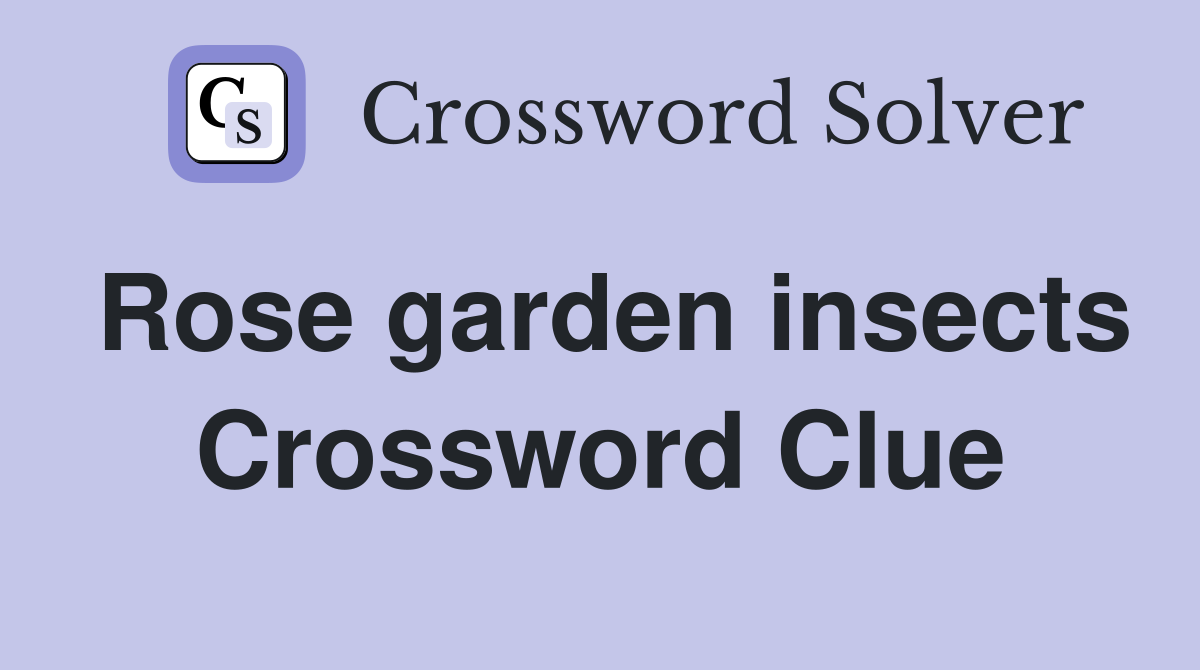 Rose garden insects Crossword Clue