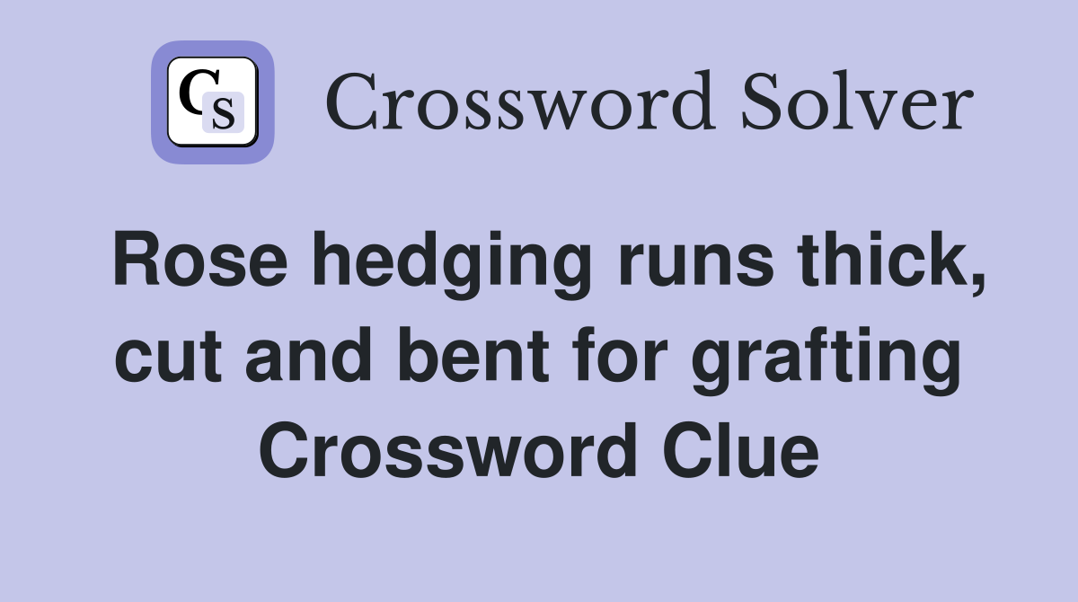 Rose hedging runs thick, cut and bent for grafting Crossword Clue