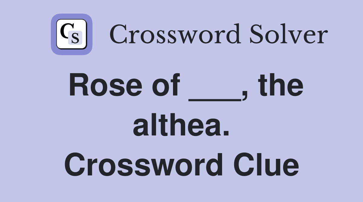 Rose of ___, the althea. Crossword Clue