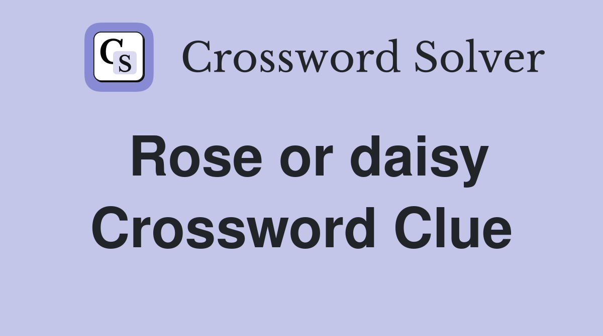 Rose or daisy Crossword Clue