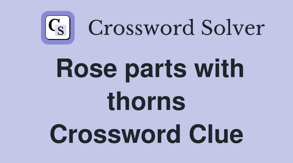 Rose parts with thorns Crossword Clue