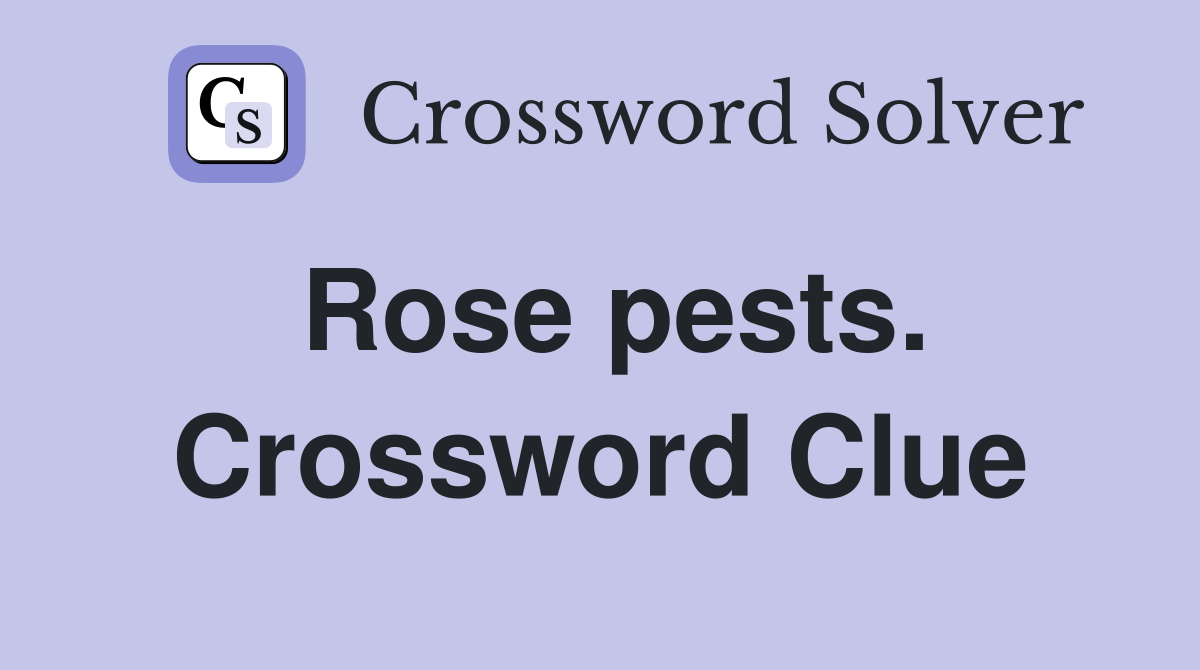 Rose pests. Crossword Clue