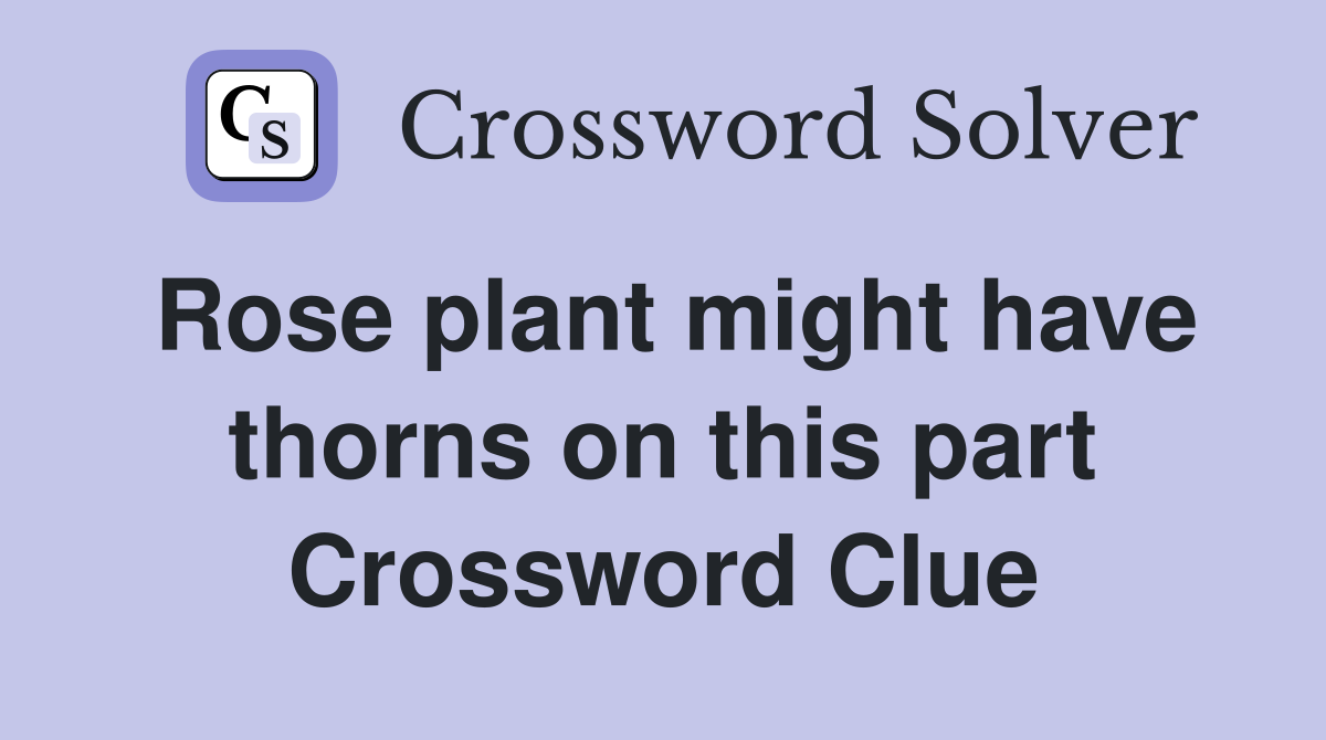 Rose plant might have thorns on this part Crossword Clue