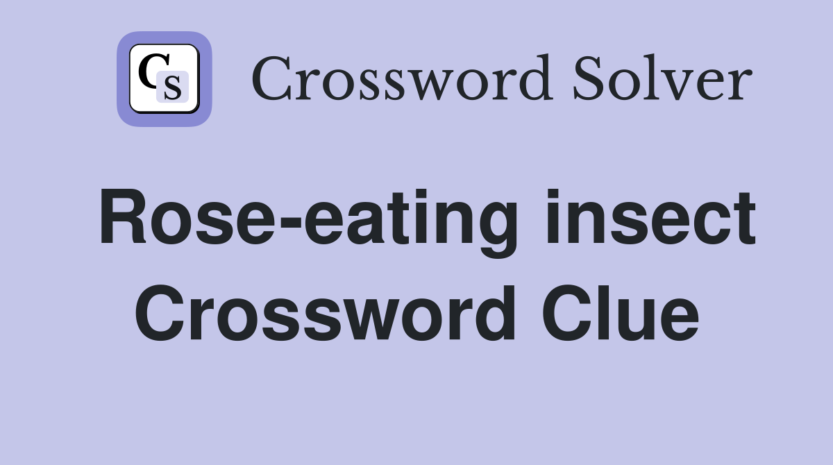 Rose-eating insect Crossword Clue