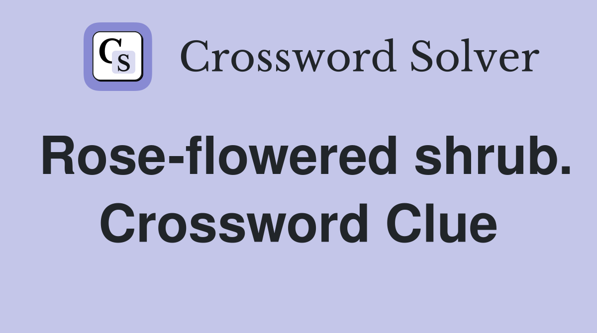 Rose-flowered shrub. Crossword Clue