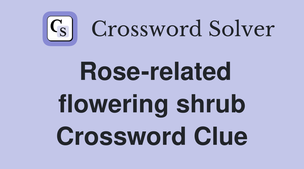 Rose-related flowering shrub Crossword Clue