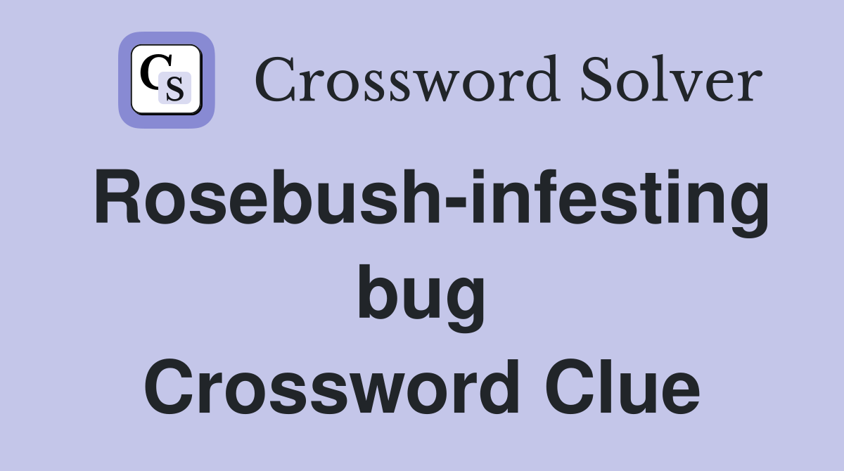 Rosebush-infesting bug Crossword Clue