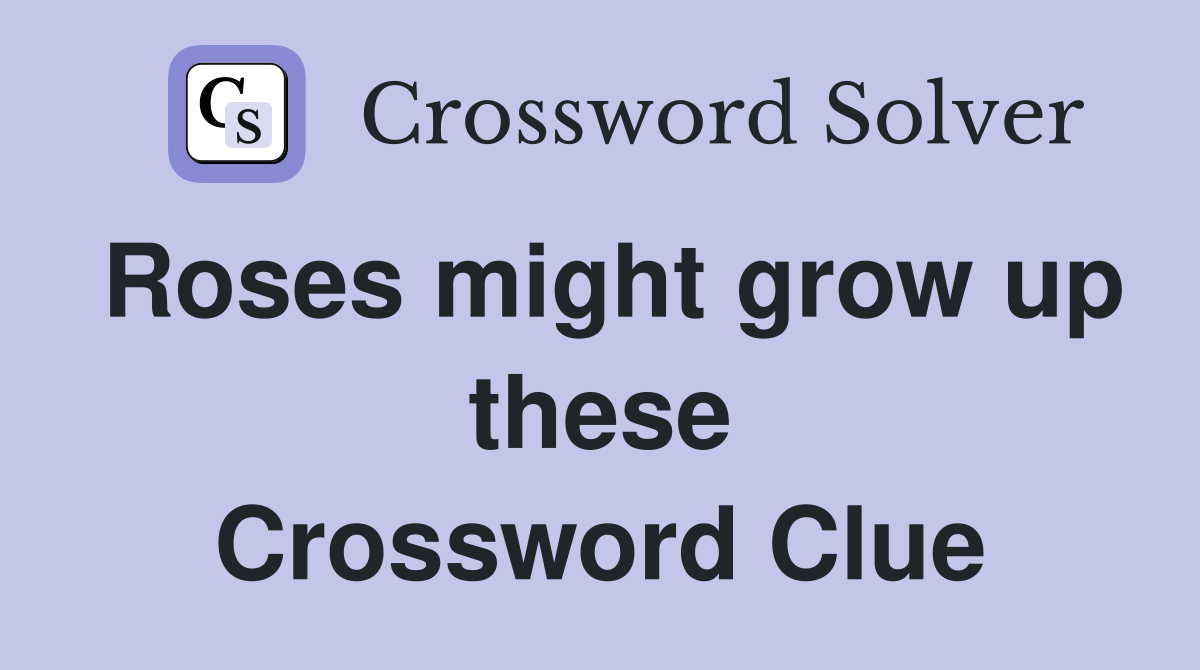Roses might grow up these Crossword Clue