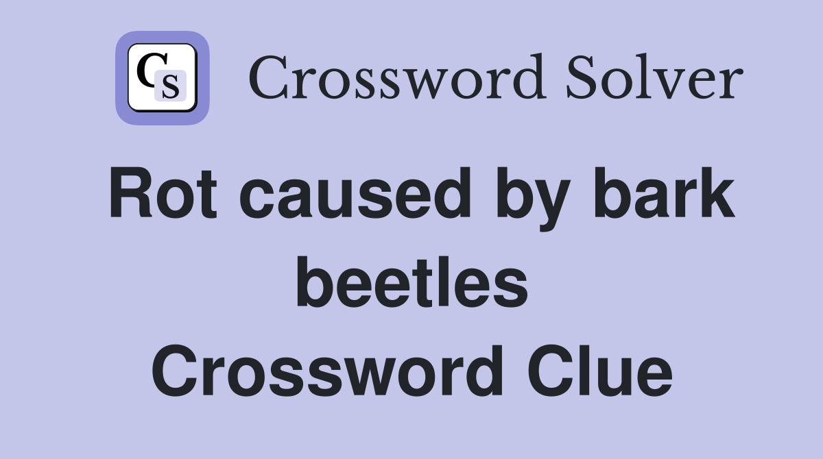 Rot caused by bark beetles Crossword Clue