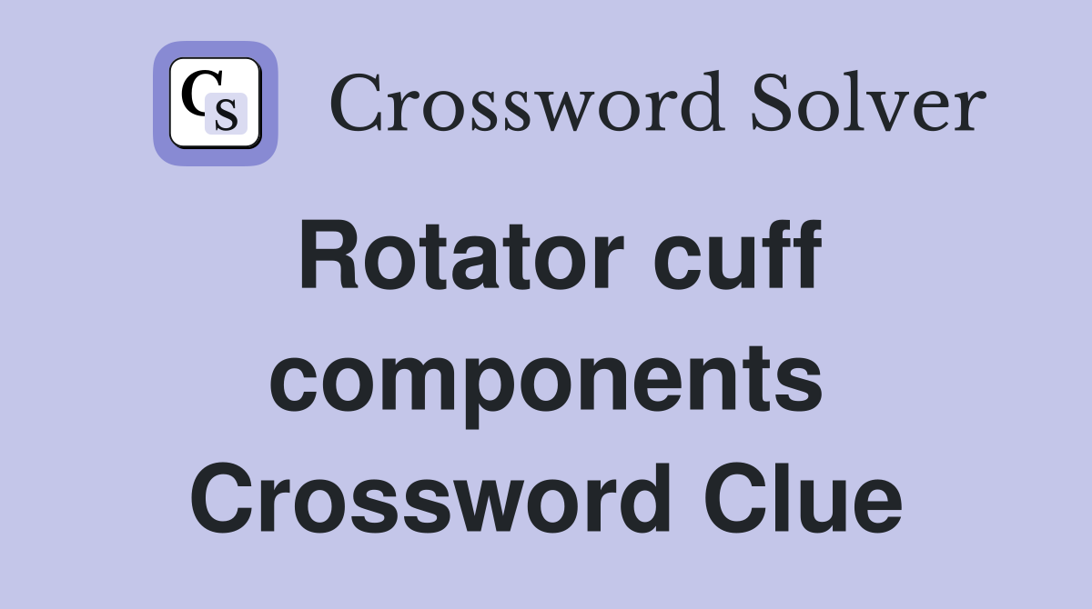 Rotator cuff components Crossword Clue