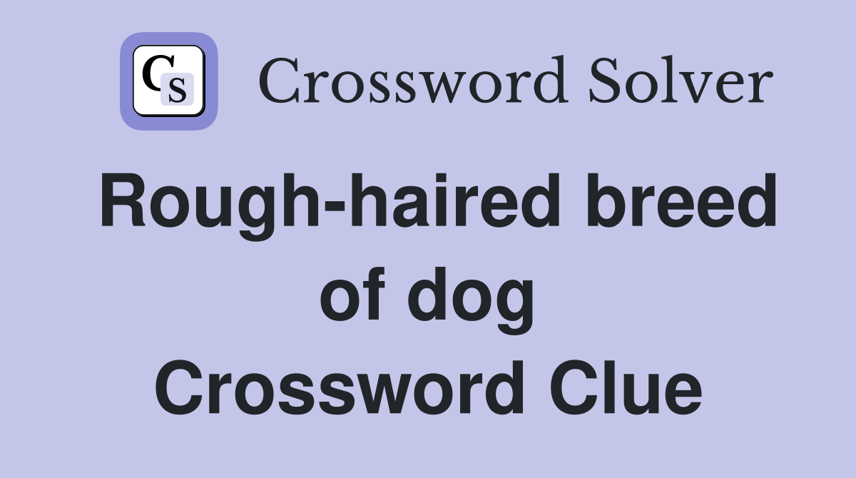 Rough-haired breed of dog Crossword Clue