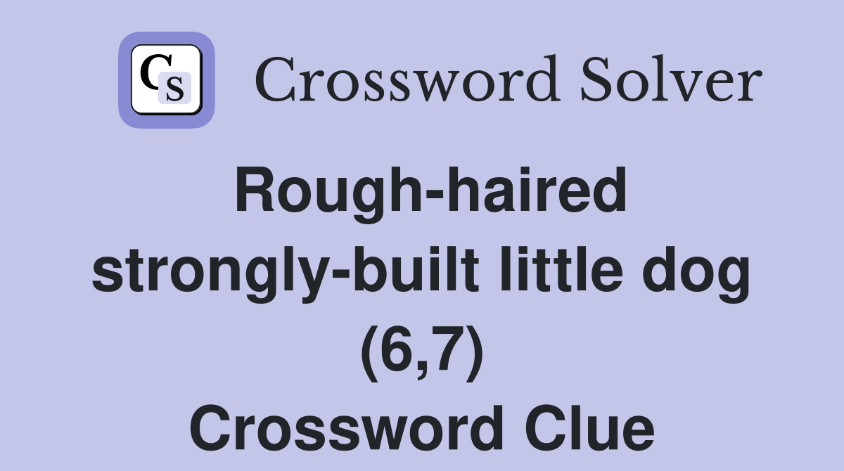 Rough-haired strongly-built little dog (6,7) Crossword Clue