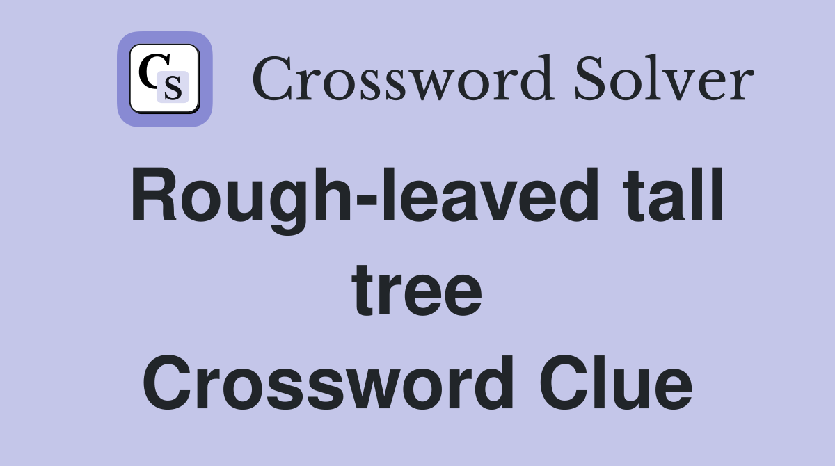 Rough-leaved tall tree Crossword Clue