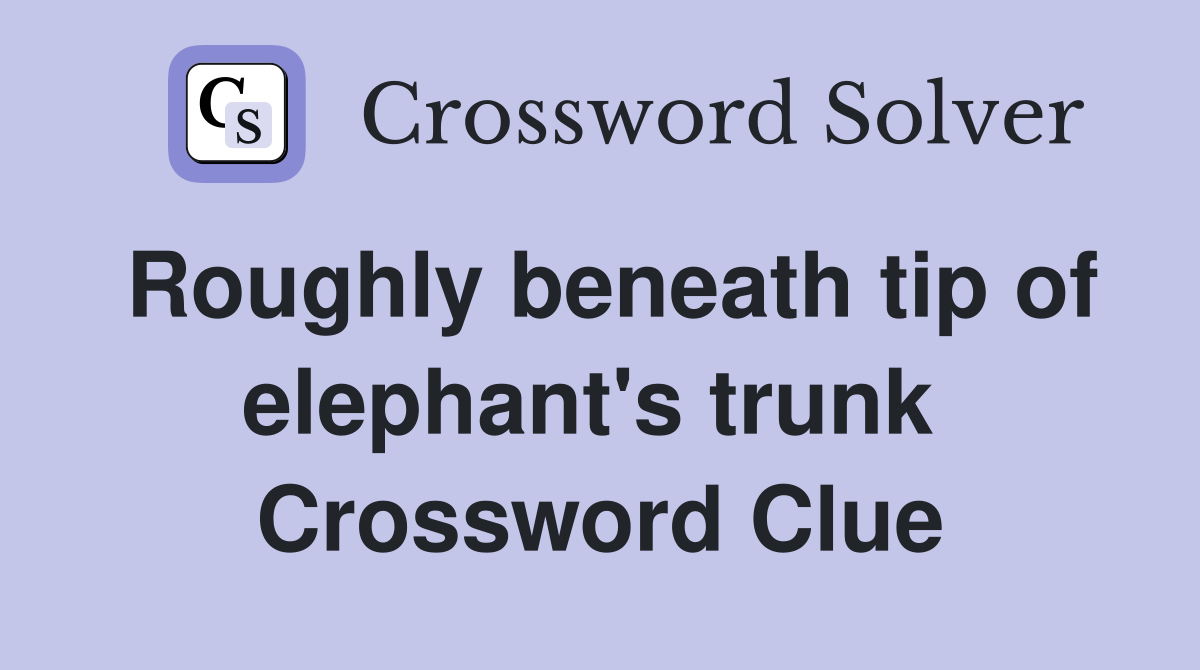 Roughly beneath tip of elephant's trunk  Crossword Clue