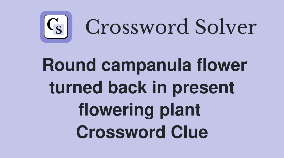 Round campanula flower turned back in present flowering plant  Crossword Clue