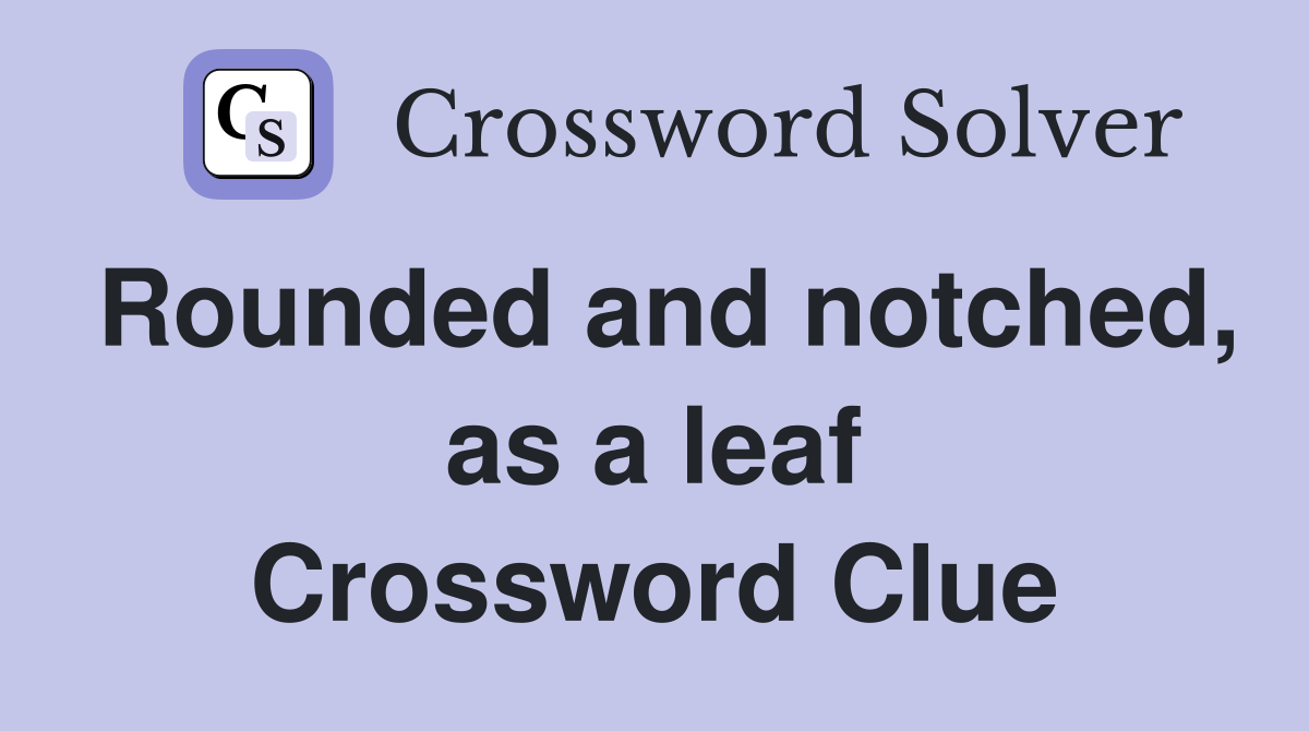 Rounded and notched, as a leaf Crossword Clue