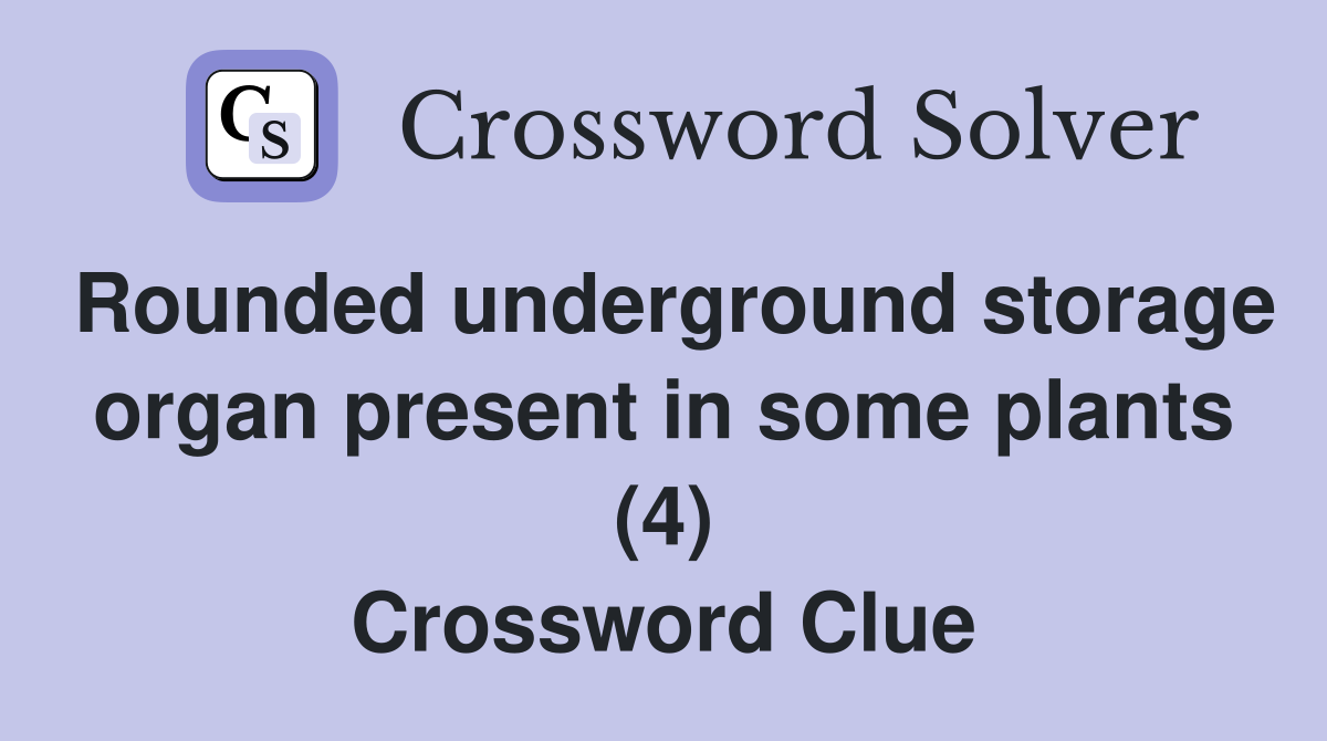 Rounded underground storage organ present in some plants (4) Crossword Clue