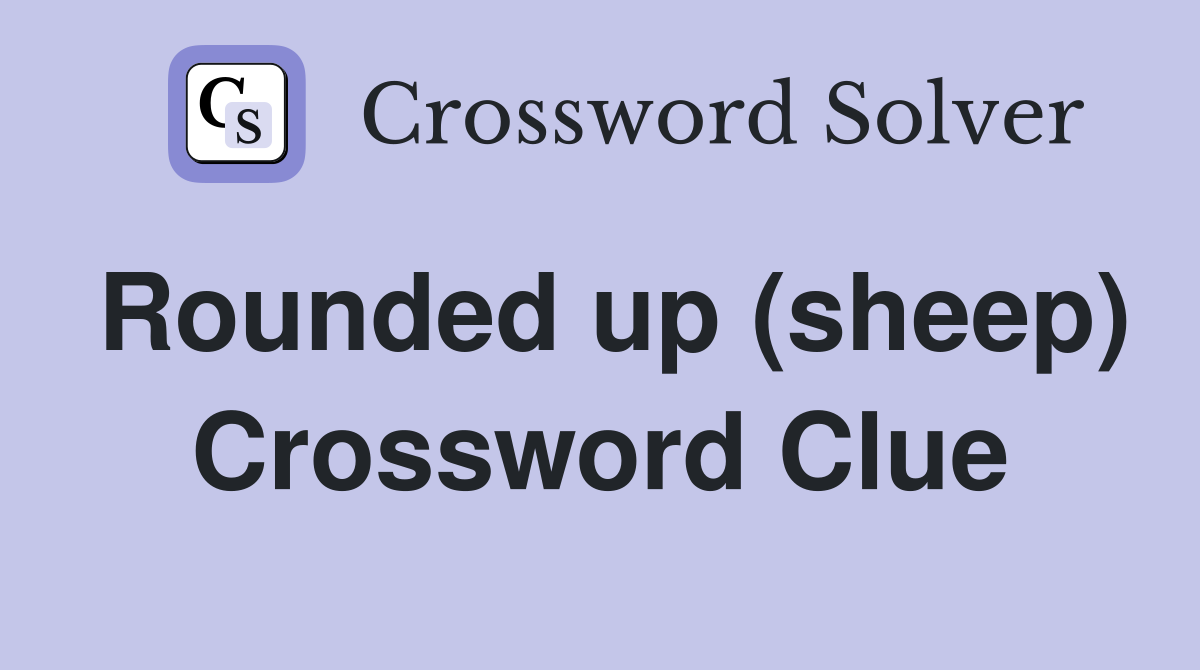 Rounded up (sheep) Crossword Clue