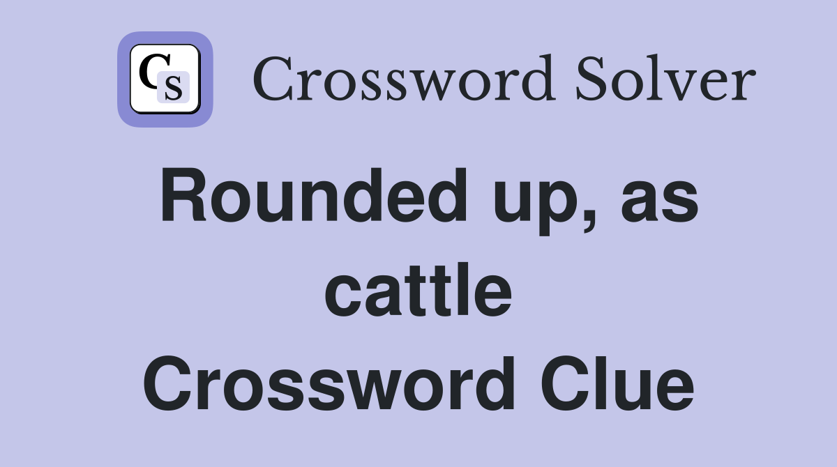 Rounded up, as cattle Crossword Clue