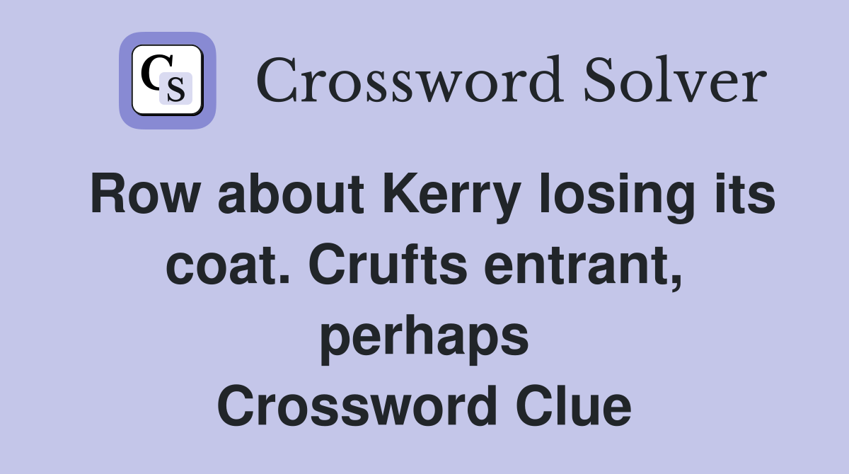 Row about Kerry losing its coat. Crufts entrant, perhaps Crossword Clue