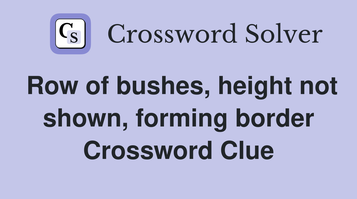 Row of bushes, height not shown, forming border Crossword Clue