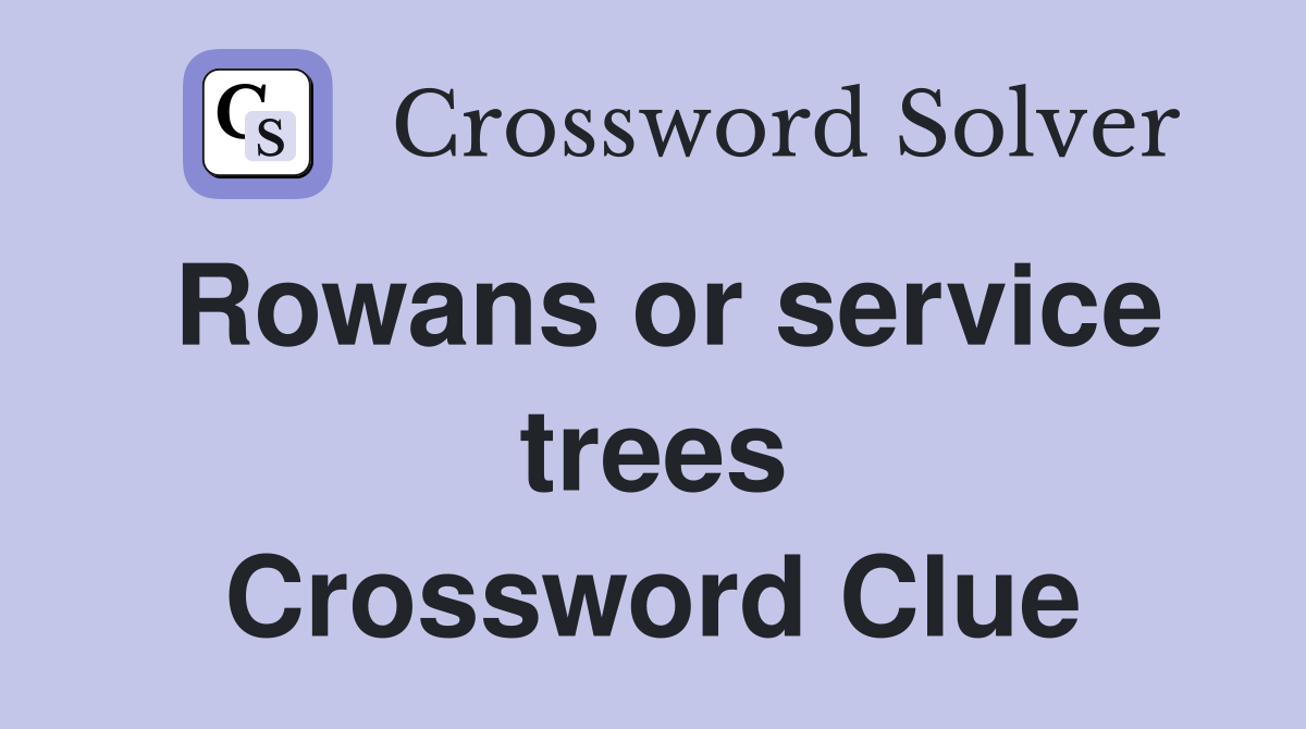 Rowans or service trees Crossword Clue