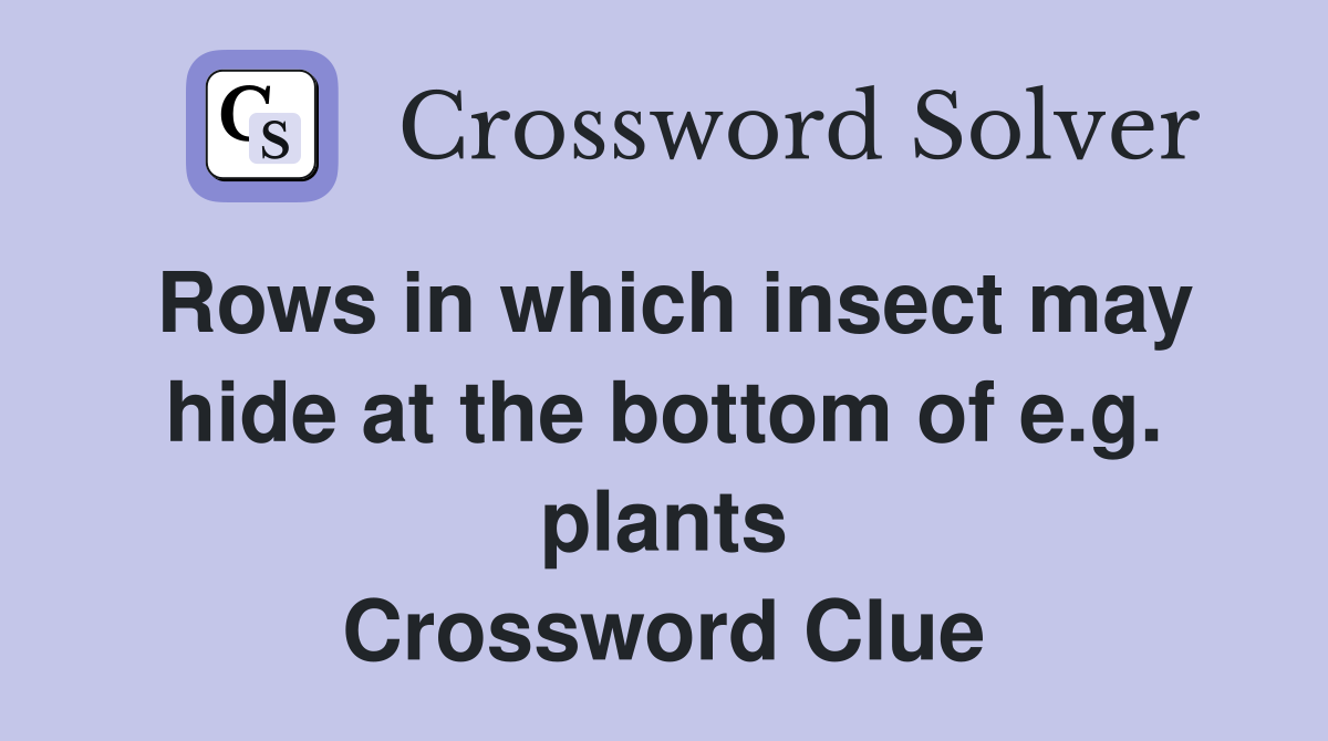 Rows in which insect may hide at the bottom of e.g. plants Crossword Clue