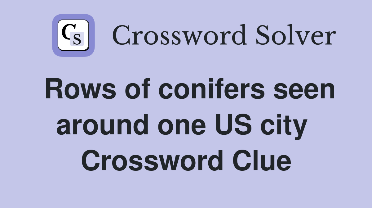 Rows of conifers seen around one US city  Crossword Clue