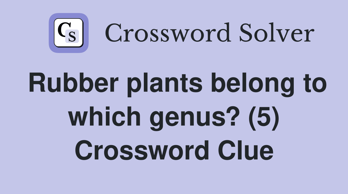 Rubber plants belong to which genus? (5) Crossword Clue