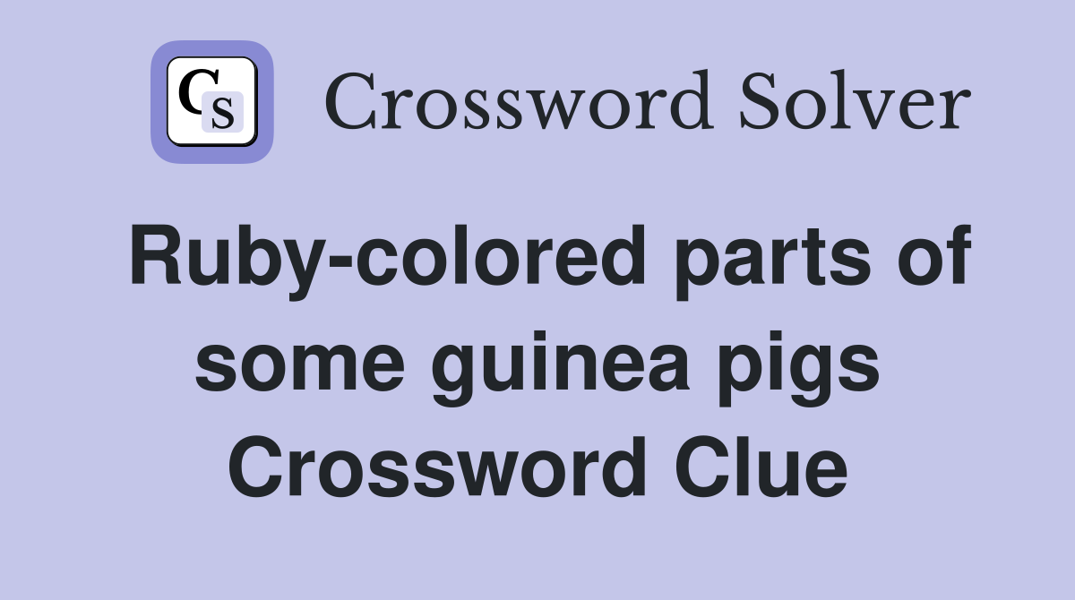 Ruby-colored parts of some guinea pigs Crossword Clue