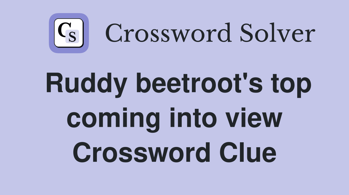 Ruddy beetroot's top coming into view Crossword Clue