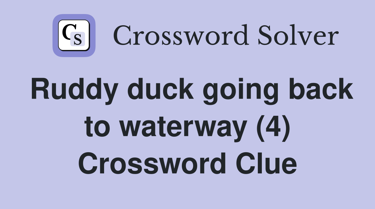Ruddy duck going back to waterway (4) Crossword Clue