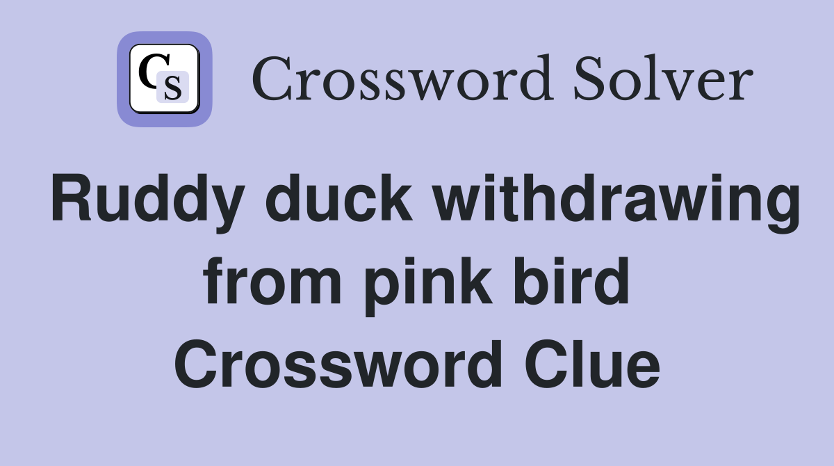 Ruddy duck withdrawing from pink bird Crossword Clue