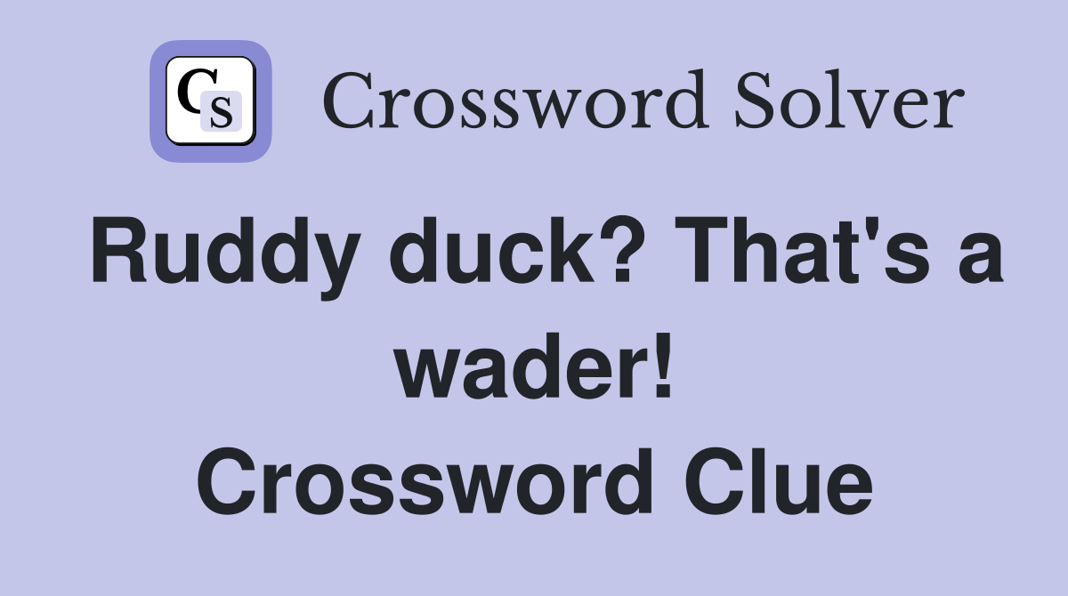 Ruddy duck? That's a wader! Crossword Clue