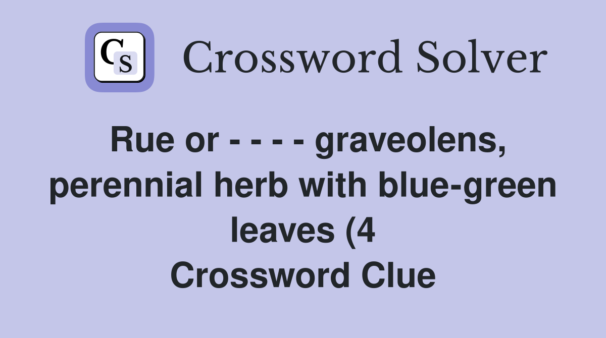 Rue or graveolens perennial herb with blue green leaves (4 Rue or graveolens perennial herb with blue green leaves (4