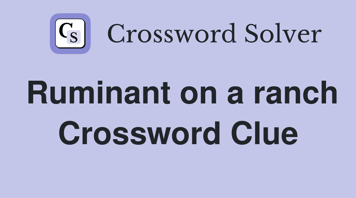 Ruminant on a ranch Crossword Clue