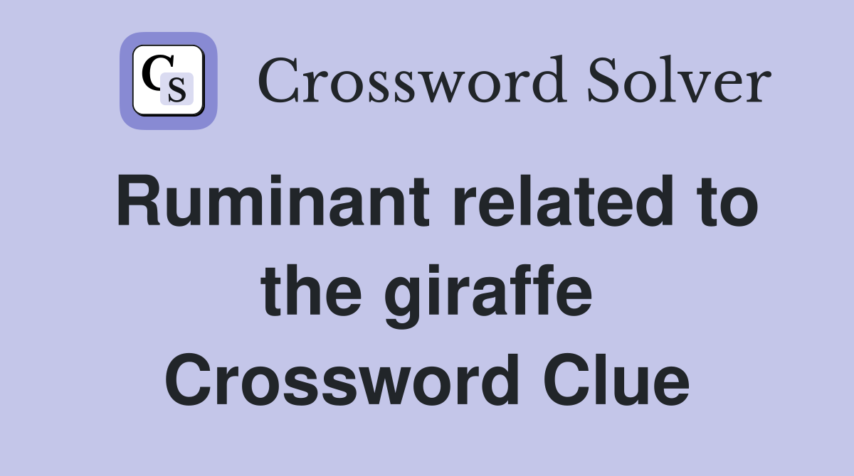 Ruminant related to the giraffe Crossword Clue