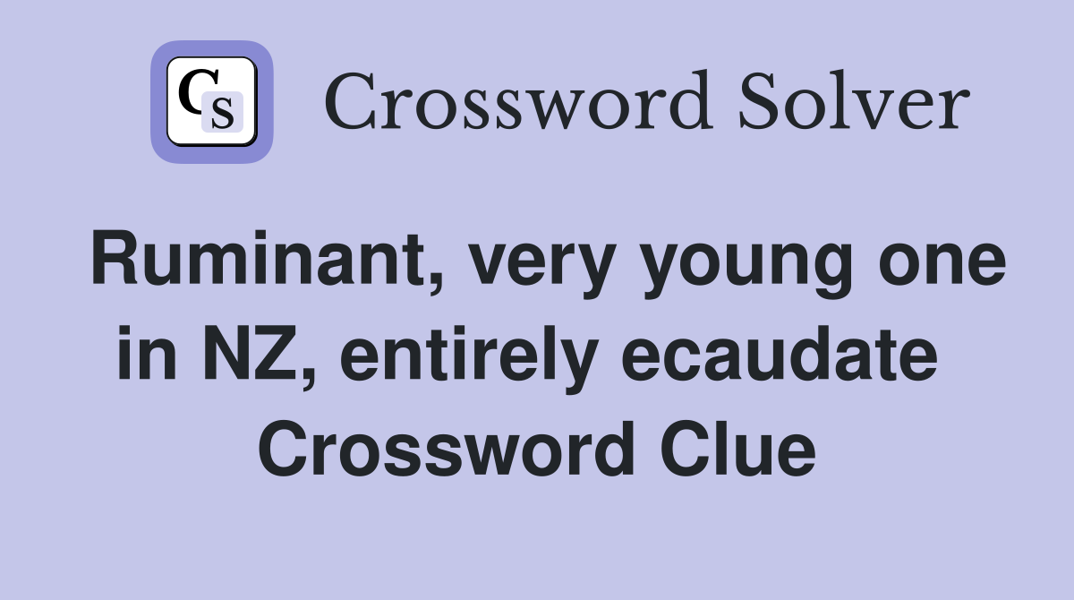 Ruminant, very young one in NZ, entirely ecaudate  Crossword Clue