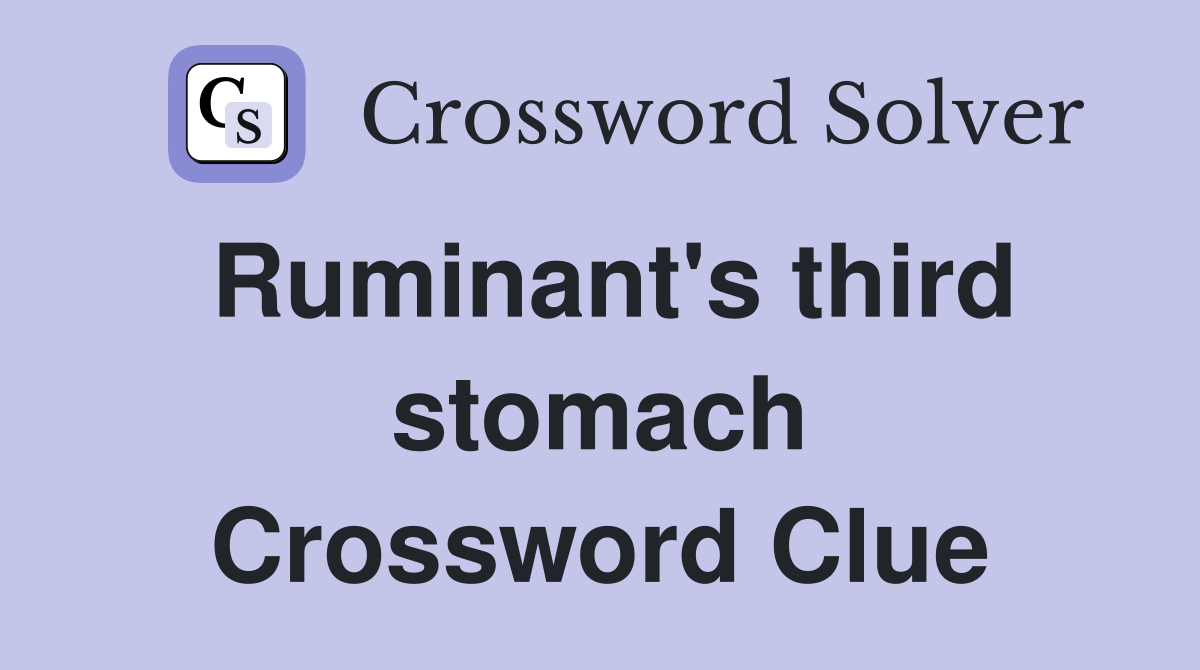Ruminant's third stomach Crossword Clue
