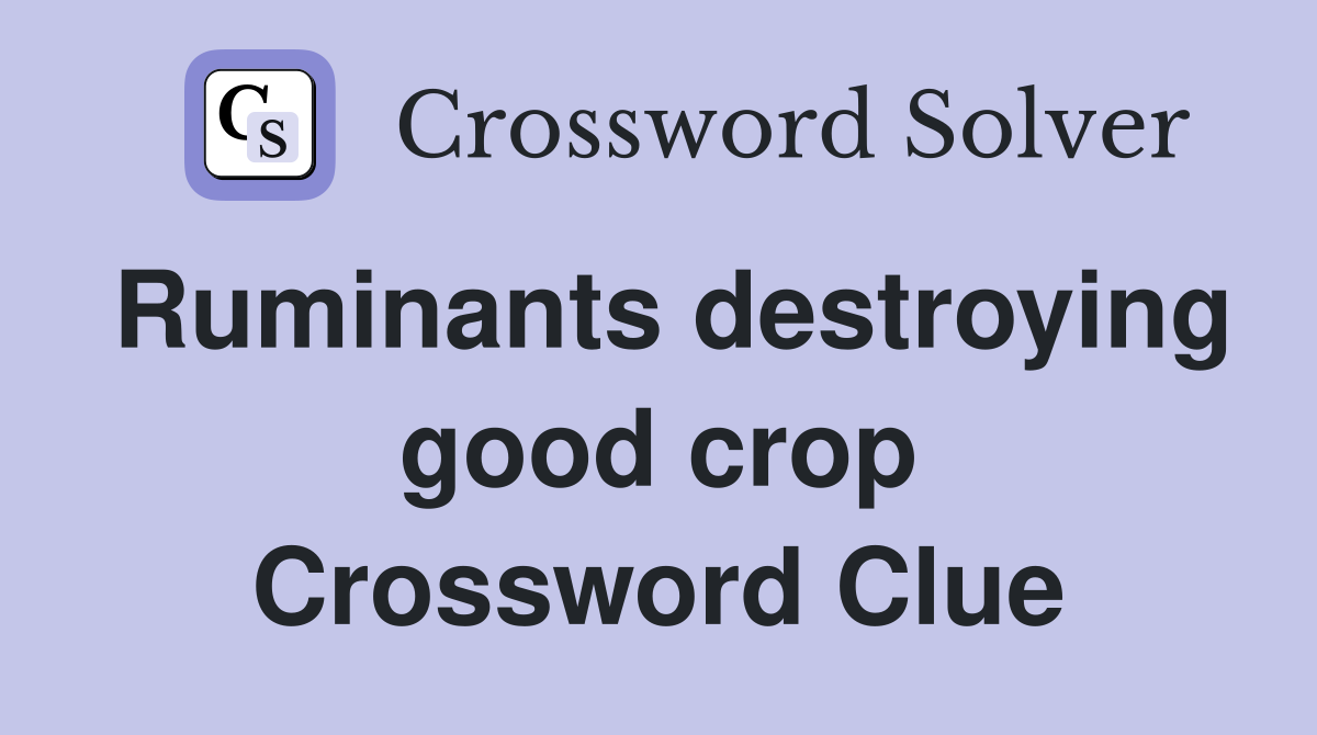 Ruminants destroying good crop Crossword Clue