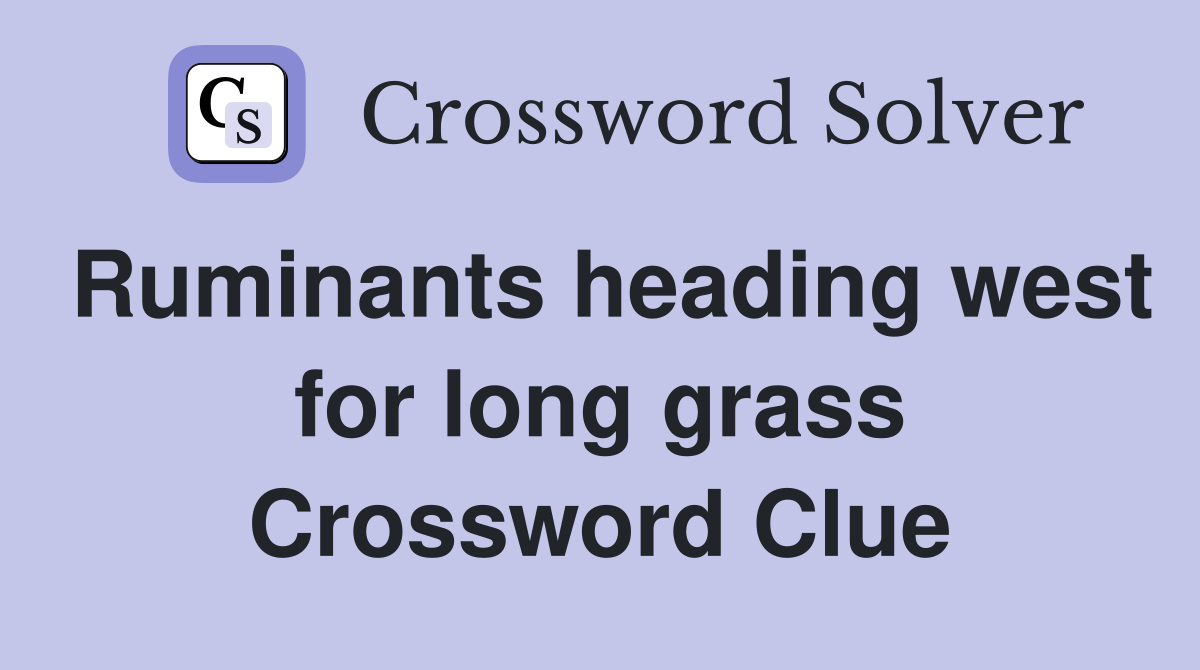 Ruminants heading west for long grass Crossword Clue