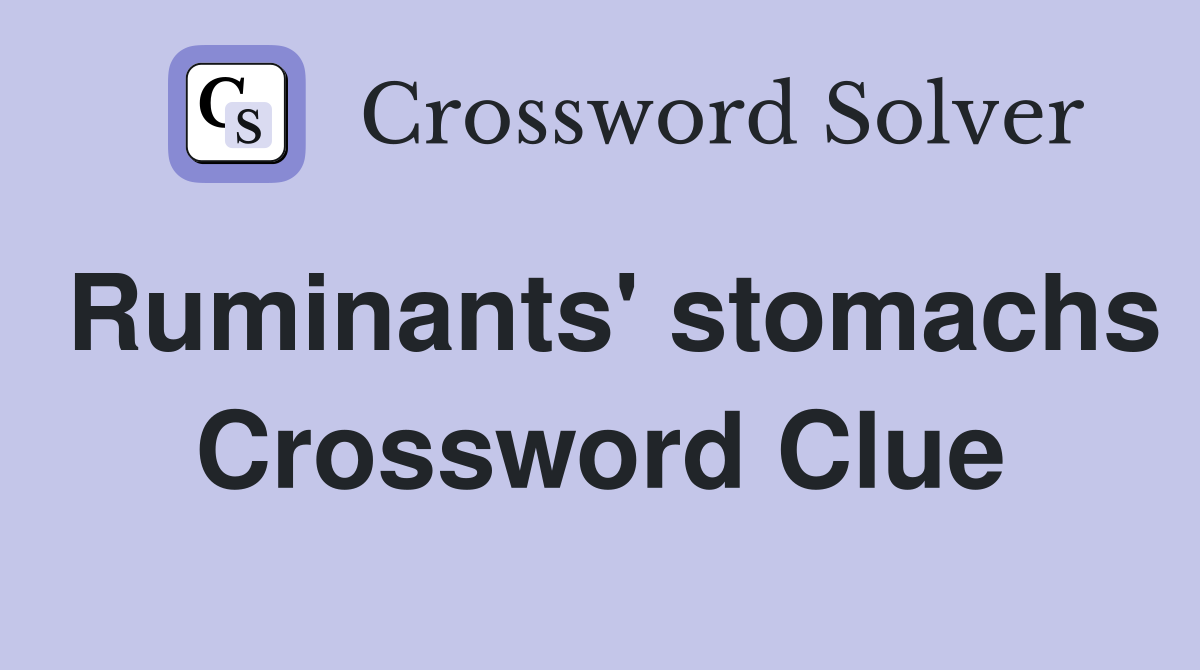 Ruminants' stomachs Crossword Clue