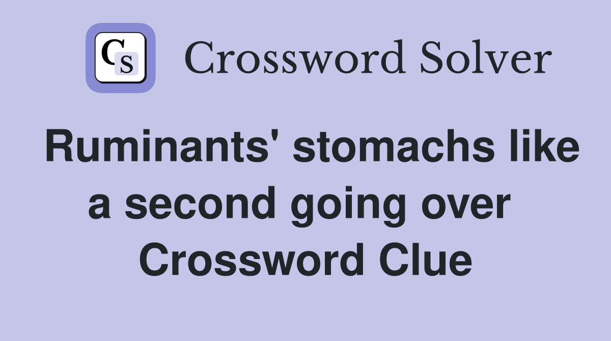 Ruminants' stomachs like a second going over  Crossword Clue