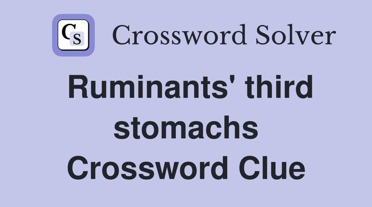Ruminants' third stomachs Crossword Clue