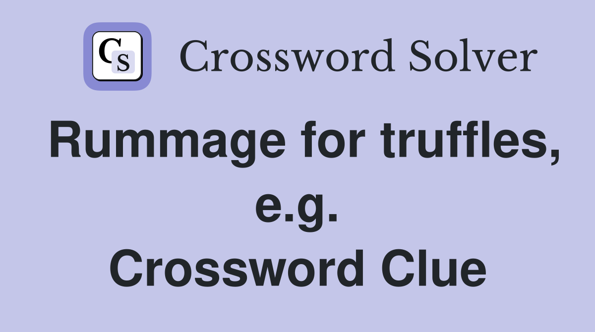 Rummage for truffles, e.g. Crossword Clue