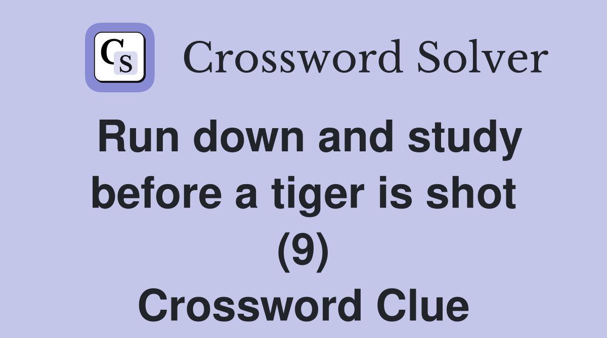 Run down and study before a tiger is shot (9) Crossword Clue